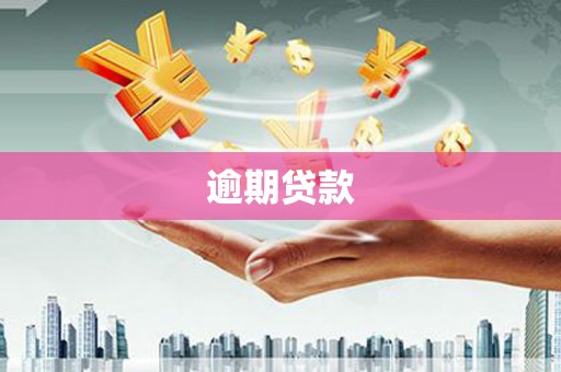 呼和浩特逾期贷款
