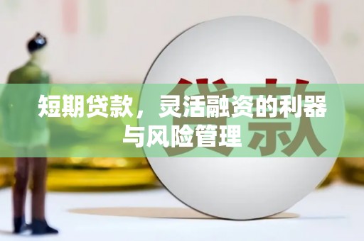 呼和浩特短期贷款，灵活融资的利器与风险管理