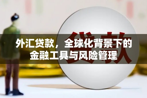 呼和浩特外汇贷款，全球化背景下的金融工具与风险管理
