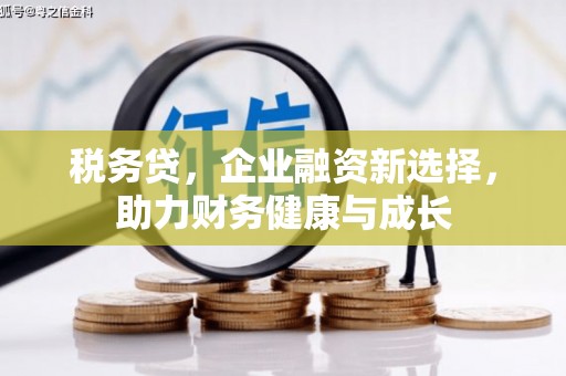 呼和浩特税务贷，企业融资新选择，助力财务健康与成长